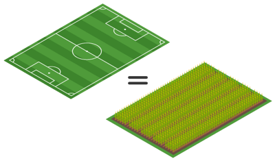 campi_calcio_grano_600px campi_calcio_grano_600px